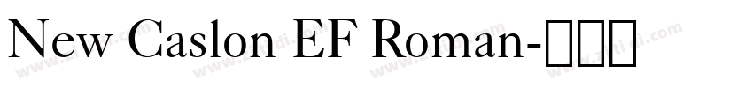 New Caslon EF Roman字体转换